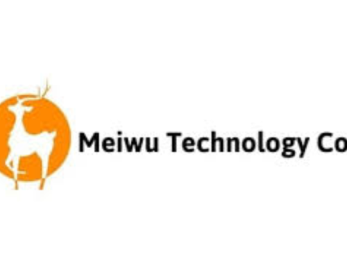 Azioni Meiwu Technology: come recuperare le perdite?